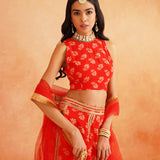 DISHA CROP TOP LEHENGA AND ODHANI SET OF THREE