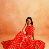 DISHA CROP TOP LEHENGA AND ODHANI SET OF THREE