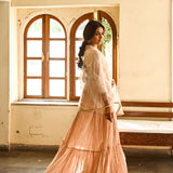 BEIGE KAYA ANARKALI KURTA & NET ODHANI SET OF TWO