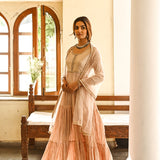 BEIGE KAYA ANARKALI KURTA & NET ODHANI SET OF TWO