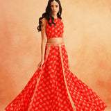 DISHA CROP TOP LEHENGA AND ODHANI  SET OF 3