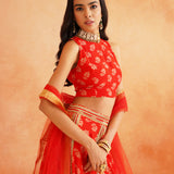 DISHA CROP TOP LEHENGA AND ODHANI  SET OF 3